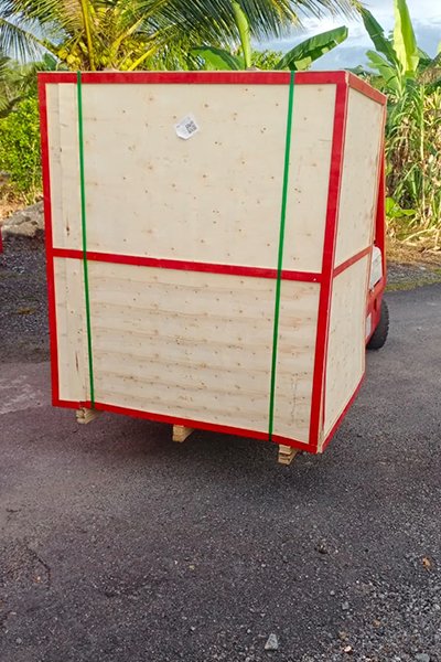 ZLYC Series Efficient Vacuum Oil Filter Cart​ Packed and shipped 1
