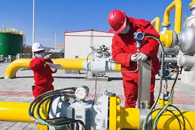 Gas Filter Element Application